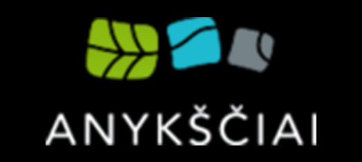 Logo Visit Anyksciai