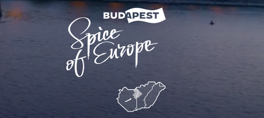 Logo Visit Budapest