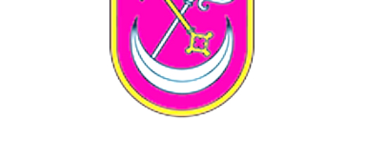 Logo Visit Koknese