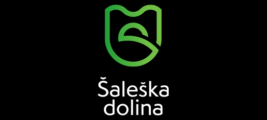 Logo Visit Saleska