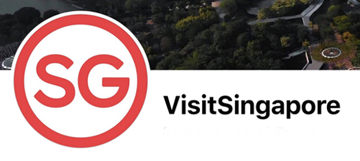 Logo Visit Singapore.com